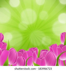 Card With Tulips, With Gradient Mesh, Vector Illustration