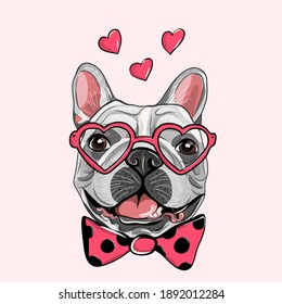 Card of a Valentine s Day. Adorable puppy Pug with a pink heart donut. French Bulldog in a striped cardigan, in a fun pink heart glasses