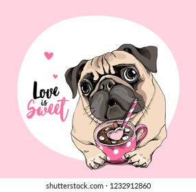 Card of a Valentine's Day. Adorable puppy Pug with a pink cup of coffee. Love is sweet - lettering quote. Humor poster, t-shirt composition, hand drawn style print. Vector illustration.