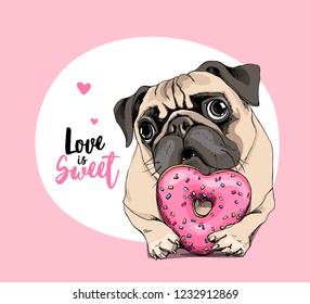 Card of a Valentine's Day. Adorable puppy Pug with a pink heart donut. Love is sweet - lettering quote. Humor poster, t-shirt composition, hand drawn style print. Vector illustration.