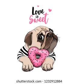 Card of a Valentine's Day. Adorable puppy Pug with a pink heart donut. Love is sweet - lettering quote. Humor poster, t-shirt composition, hand drawn style print. Vector illustration.