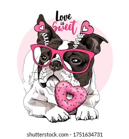 Tarjeta de San Valentín. Perro de Boston Terrier escalofriante con los lentes rosados con los corazones y con el donut. Tarjeta de humor, composición de camisetas, impresión a mano. Ilustración vectorial.