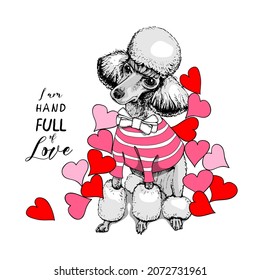 Card of a Valentine's Day. Cute white Poodle in the Bow Tie on the red and pink hearts. Humor composition, hand drawn style print. Vector illustration.