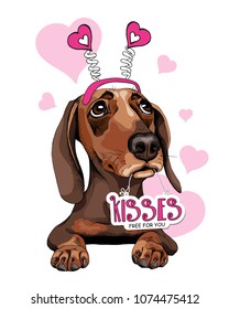 Card of a Valentine's Day. Dachshund Dog in a fun headband with a pink hearts. Vector illustration.