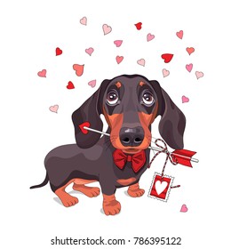 Card of a Valentine's Day. Dachshund Dog in a bow tie and with love arrow. Vector illustration.