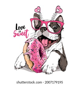 Card of a Valentine's Day. Funny Boston Terrier dog in the pink glasses with hearts and with the donut. Humor card, t-shirt composition, hand drawn style print. Vector illustration.