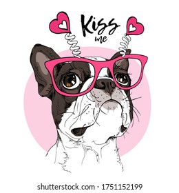 Card of a Valentine's Day. Portrait of the dreaming funny Boston Terrier dog in the pink glasses with hearts. Humor card, t-shirt composition, hand drawn style print. Vector illustration.