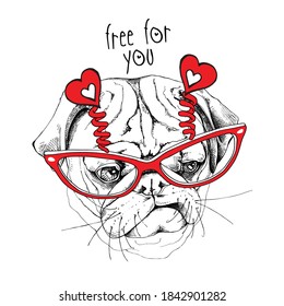 Card of a Valentine's Day. Portrait of the sad funny Pug dog in the red glasses with hearts. Humor card, t-shirt composition, hand drawn style print. Vector illustration.
