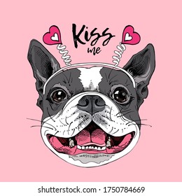 Card of a Valentine's Day. Portrait of the smiling funny Boston Terrier dog in the pink heart headband. Humor card, t-shirt composition, hand drawn style print. Vector illustration.