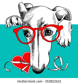 Card of Valentine's Day. Sad dog Greyhound portrait in glasses and red heart with ribbon on blue-green background. Vector illustration.