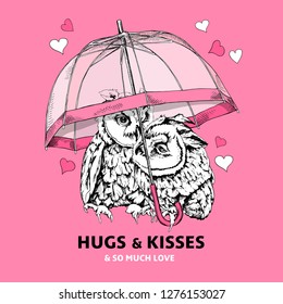 Card of a Valentine's Day. Two owls with a pink umbrella and with a hearts. Hugs & kisses & so much love - lettering quote. Humor card, t-shirt composition, hand drawn style print. Vector illustration