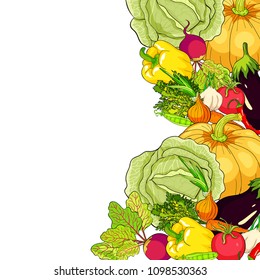 card  is vegetables ripe autumn.  vector illustration