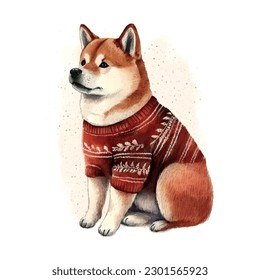 Card with watercolor akita christmas New year red sweater Christmas vector. Funny puppy. Vector cartoon illustration