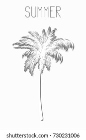 Card in white style with a palm tree and the inscription Summer