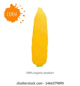Card with a whole corn with the inscription. Vector banner on the theme of healthy eating. Ear of sweet corn close up.