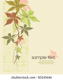 card with wild grape leaves