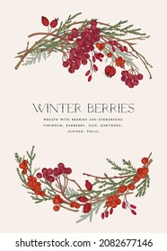 Tarjeta con corona. Bayas de invierno. Ilustración botánica vectorial. Viburnum, barbera, espina dorsal, bayas de látex. Ramas de Thuja y de enebro. Marco estacional. Colorido.