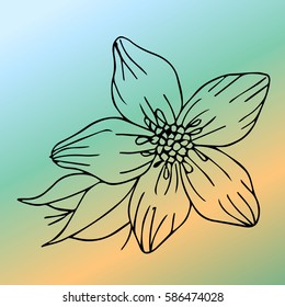 A card for your birthday. Flower vector illustration. Cloth design, wallpaper, wrapping, textiles, paper, cards, invitations, holiday