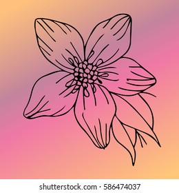 A card for your birthday. Flower vector illustration. Cloth design, wallpaper, wrapping, textiles, paper, cards, invitations, holiday