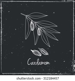 Cardamom.