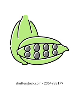 cardamom aromatherapy color icon vector. cardamom aromatherapy sign. isolated symbol illustration