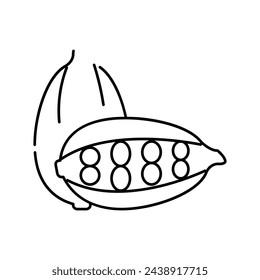 Kardamom Aromatherapie Linie Ikone Vektor. Kardamom Aromatherapie Zeichen. Isoliertes Kontursymbol schwarze Illustration