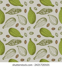 Cardamom aromatic camphor spice sketch seamless pattern hand drawn repeating vector background fresh and dried fruit pods cardamom plant. Eastern traditional medicine, food, harvest seeds cardamom