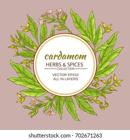 cardamom branches vector frame on color background