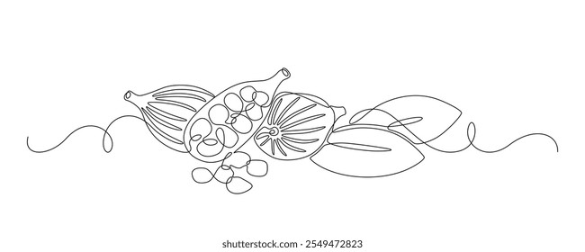 Cardamom drawn in continuous line in minimalist style, spice, ginger plant, grains, pods, leaves, editable vector contour.