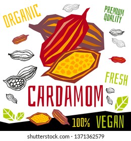 Cardamom icon herb label fresh organic condiment, nuts herbs spice condiment color graphic design vegan food. Hand drawn vector illustrations.