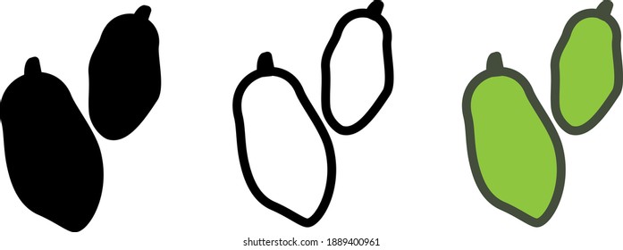 Cardamom icon, vector line illustration	