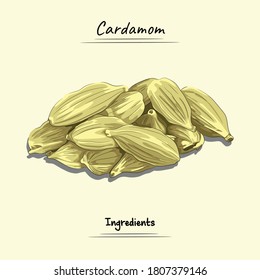 Cardamom Illustration, Ingredients For Cooking Some Food, Sketch & Vector Style