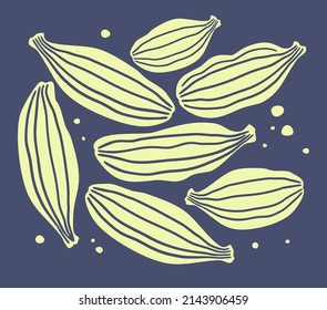 Cardamom. Light green silhouettes of spice pods isolated on a dark blue background. Vector illustration.