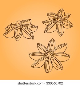 Cardamom. Line art. Isolated objects. Doodle illustration