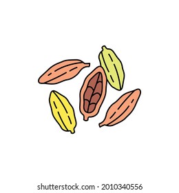 Cardamom сolor line icon. Essential oils fruit seeds. Pictogram for web page, mobile app, promo. UI UX GUI design element. Editable stroke.