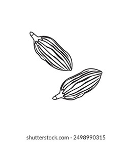 Cardamom outline Clip art , vector doodle style ,black and white line drawing, indian spices ,isolated