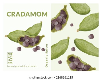 Cardamom packaging design templates, watercolour style vector illustration.