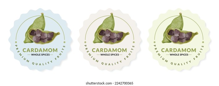 Cardamom packaging design templates, watercolour style vector illustration.