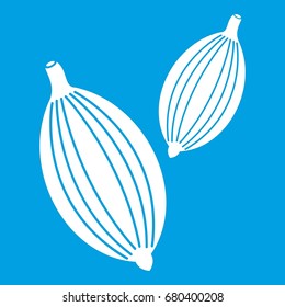 Cardamom pods icon white isolated on blue background vector illustration