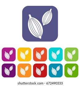 Cardamom pods icons set vector illustration in flat style In colors red, blue, green and other