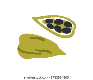 Olla de cardamomo cortada por la mitad. Vaina aromática mitad con semillas en el interior. Condimento de sabor seco. Cardamomo aromático, especia india saludable. Ilustración vectorial plana aislada sobre fondo blanco