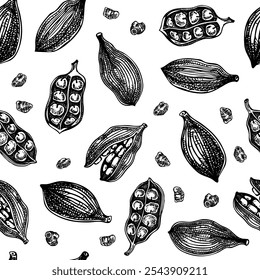 Cardamomo sin patrón. Bocetos de especias de cocina. Fondo de hierbas y especias indias. Ilustración vectorial dibujada a mano. NO se ha generado IA