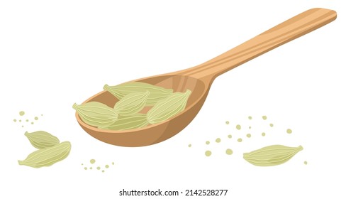 Cardamom seasoning pods in a wooden spoon. Vector illustration isolated on white background.