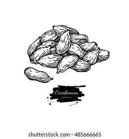 Cardamom seed heap vector hand drawn illustration. Isolated spice object. Engraved style seasoning. Detailed organic product sketch. Cooking flavor ingredient. Great for label, sign, icon