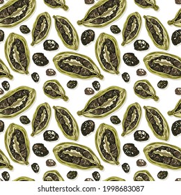 cardamom, seeds, grain, green, black, natural, seamless pattern, fresh spices, detailed vector image, fruit,