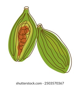 Cardamom Spice Condiment Aromatic Herbal in Line Art Style