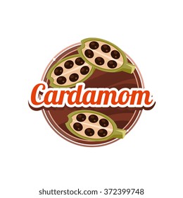 Cardamom Spice. Decorative Vector Illustration. Stickers with wooden texture and names of spices