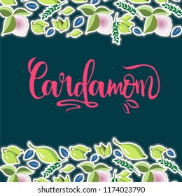 Cardamom. Stickers, banners,logo. Spices, vegan food, organic product. Vector illustration.