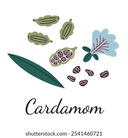 Cardamom vector illustration with green leaves, flowers, and pods with seeds in flat cartoon style. Ideal for spice, culinary, and botanical themes, aromatic and natural ingredients