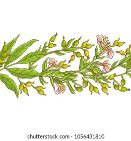 cardamom vector pattern